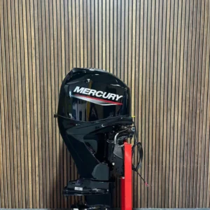Mercury 60 HP EFI outboard engine